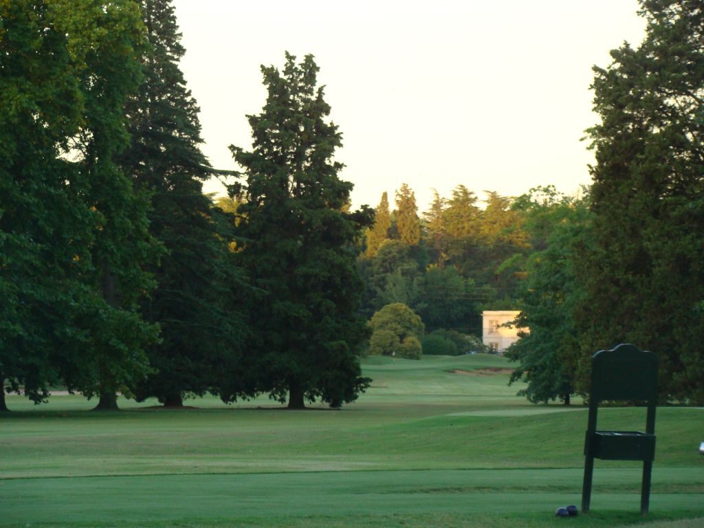 A hole framed by tall trees